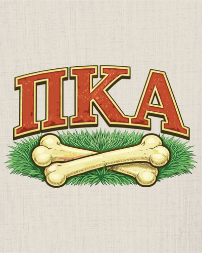 Pi Kappa Alpha – 3341