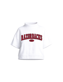 University of Arkansas Beach Terry Mockneck
