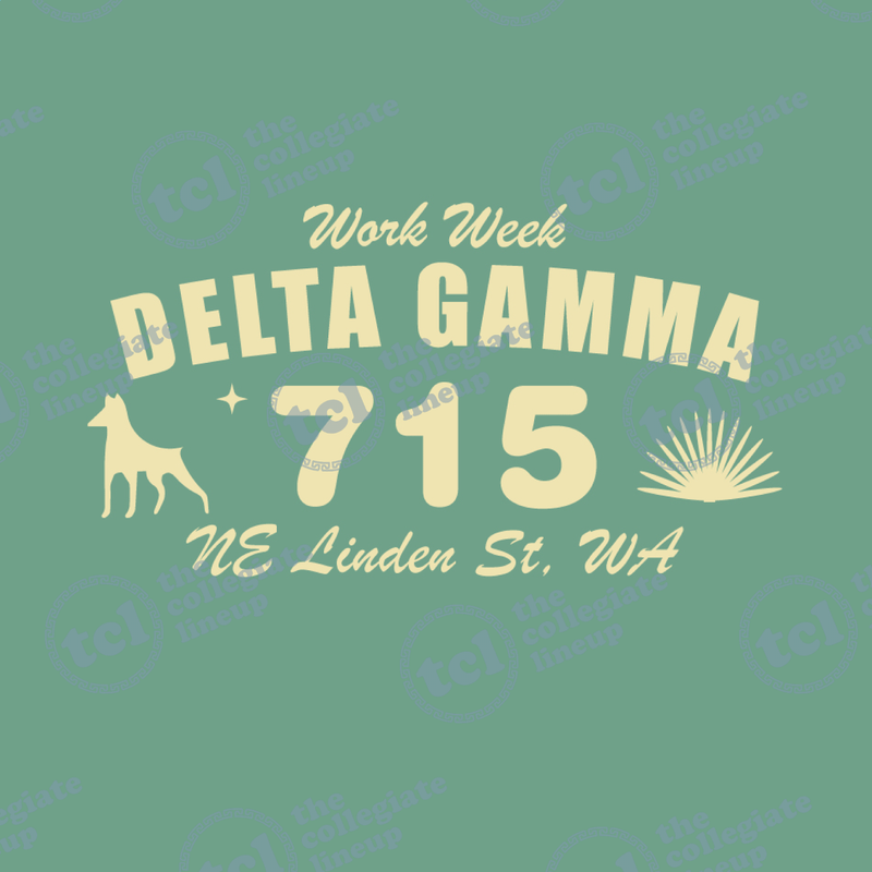 Delta Gamma University of Washington Work Week T-Shirt