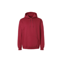 Unisex Softstyle® Midweight Hooded Sweatshirt