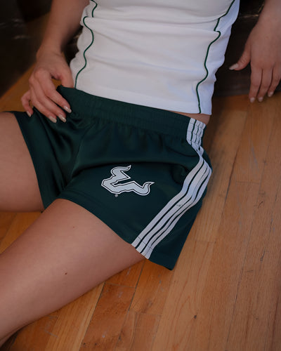 University of South Florida Local Track Short