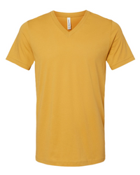 Unisex Jersey V-Neck Tee - The Collegiate Lineup