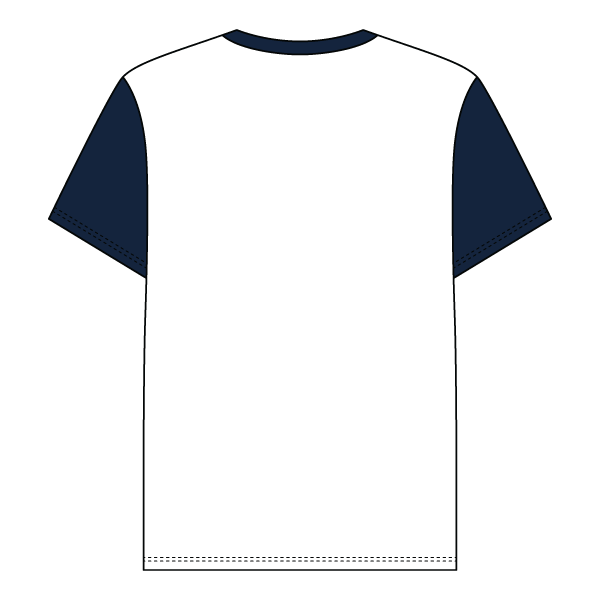 Colorblock Henley - The Collegiate Lineup