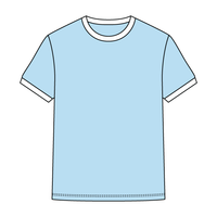Colorblock Ringer Tee - The Collegiate Lineup