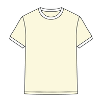 Colorblock Ringer Tee - The Collegiate Lineup