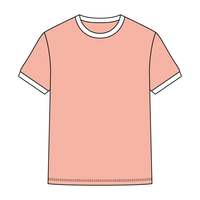 Colorblock Ringer Tee - The Collegiate Lineup