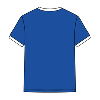 Colorblock Ringer Tee - The Collegiate Lineup