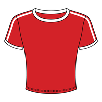 Ringer Tee with Shoulder Stripes - The Collegiate Lineup