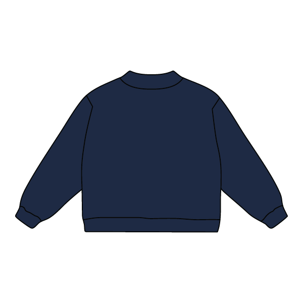 Daydream Mini Mock Sweatshirt - The Collegiate Lineup