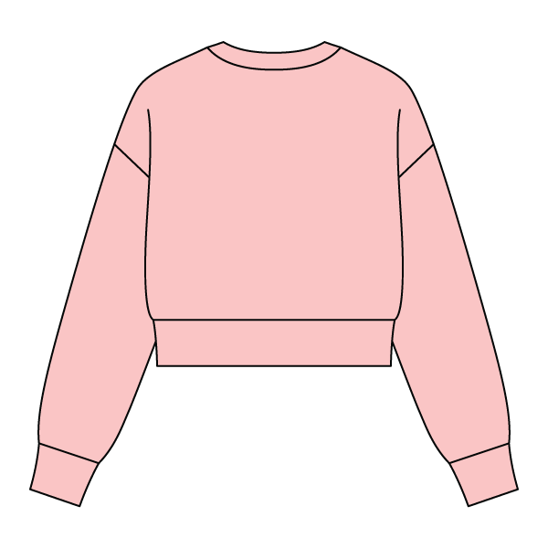 Drop Cut Women's Crop Crewneck Sweatshirt - The Collegiate Lineup