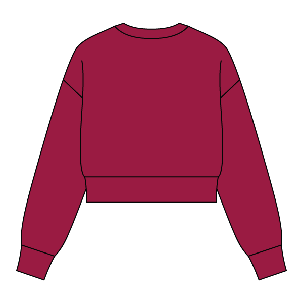 Drop Cut Women's Crop Crewneck Sweatshirt - The Collegiate Lineup