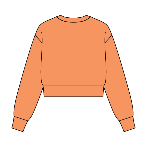 Women's Crop Crewneck Sweatshirt - The Collegiate Lineup
