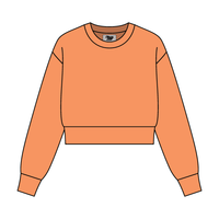 Women's Crop Crewneck Sweatshirt - The Collegiate Lineup
