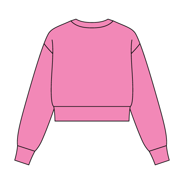 Women's Crop Crewneck Sweatshirt - The Collegiate Lineup