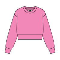 Women's Crop Crewneck Sweatshirt - The Collegiate Lineup