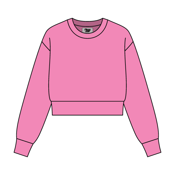 Women's Crop Crewneck Sweatshirt - The Collegiate Lineup