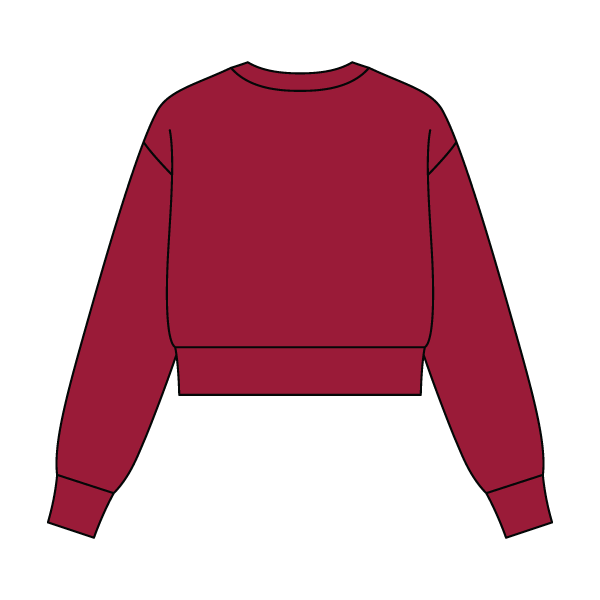 Women's Crop Crewneck Sweatshirt - The Collegiate Lineup