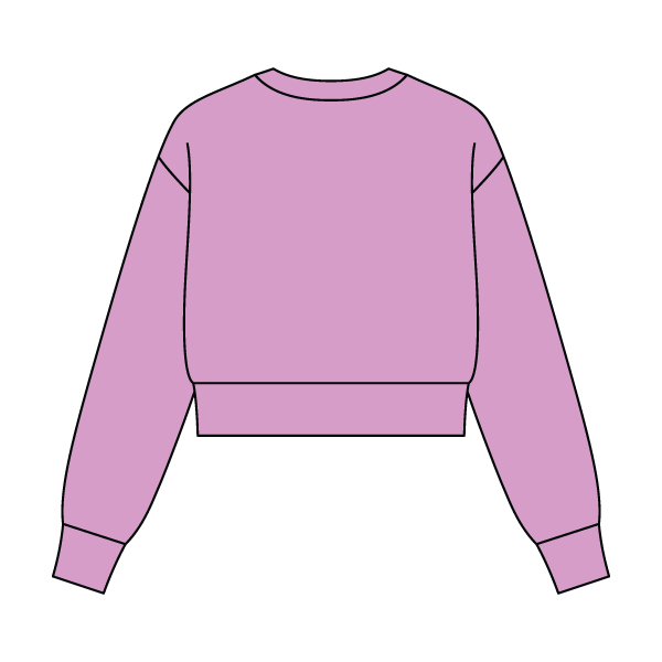 Women's Crop Crewneck Sweatshirt - The Collegiate Lineup
