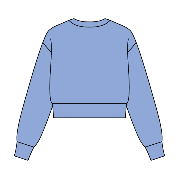 Women's Crop Crewneck Sweatshirt - The Collegiate Lineup