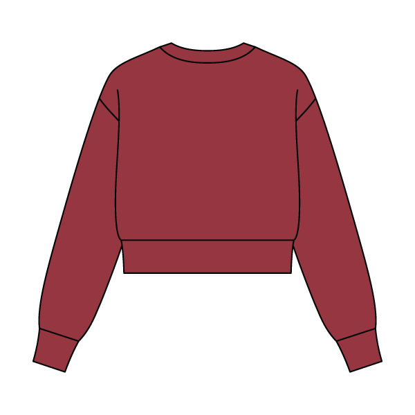 Women's Crop Crewneck Sweatshirt - The Collegiate Lineup