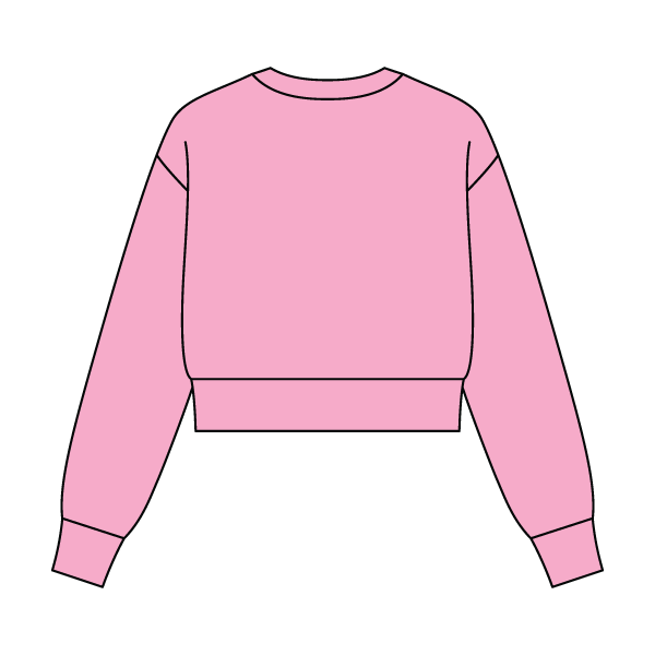 Women's Crop Crewneck Sweatshirt - The Collegiate Lineup