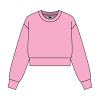Women's Crop Crewneck Sweatshirt - The Collegiate Lineup