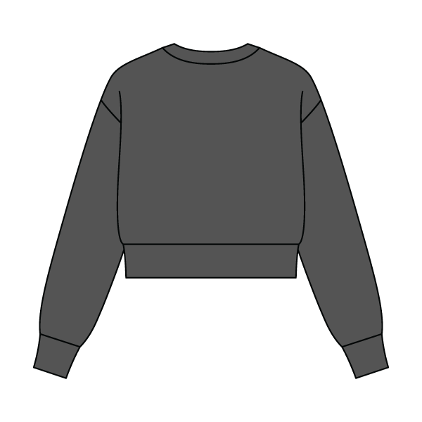 Women's Crop Crewneck Sweatshirt - The Collegiate Lineup