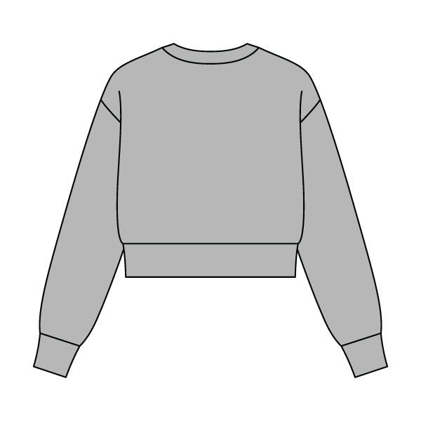 Women's Crop Crewneck Sweatshirt - The Collegiate Lineup