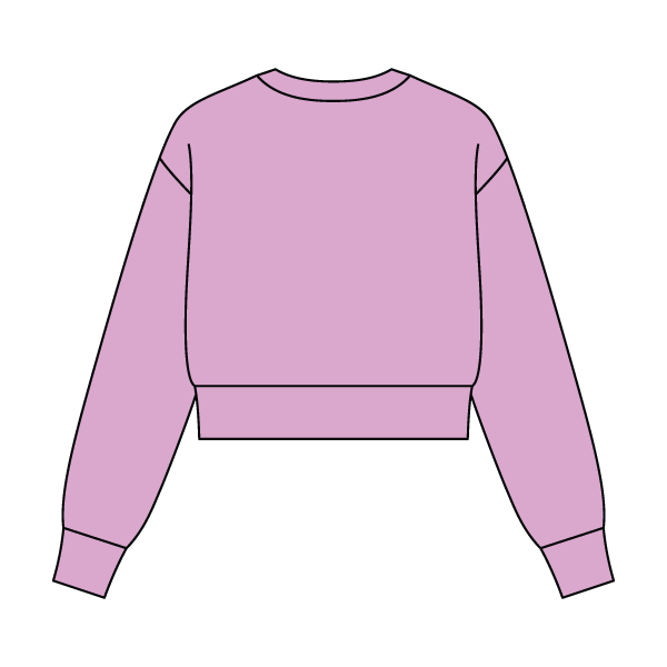 Women's Crop Crewneck Sweatshirt - The Collegiate Lineup
