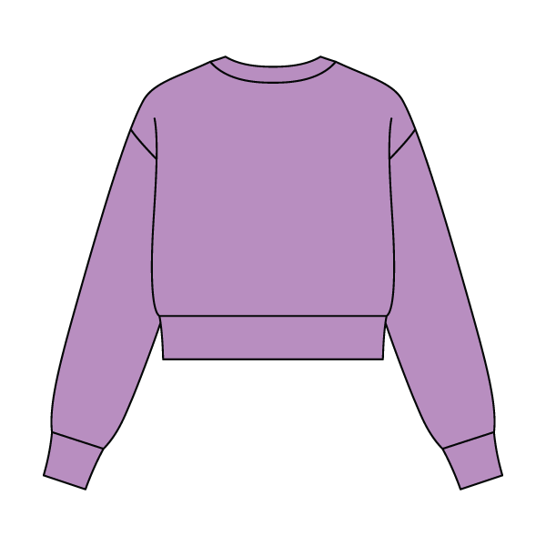 Women's Crop Crewneck Sweatshirt - The Collegiate Lineup