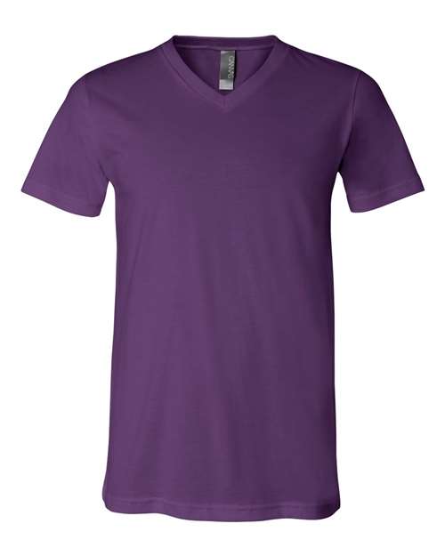 Unisex Jersey V-Neck Tee - The Collegiate Lineup